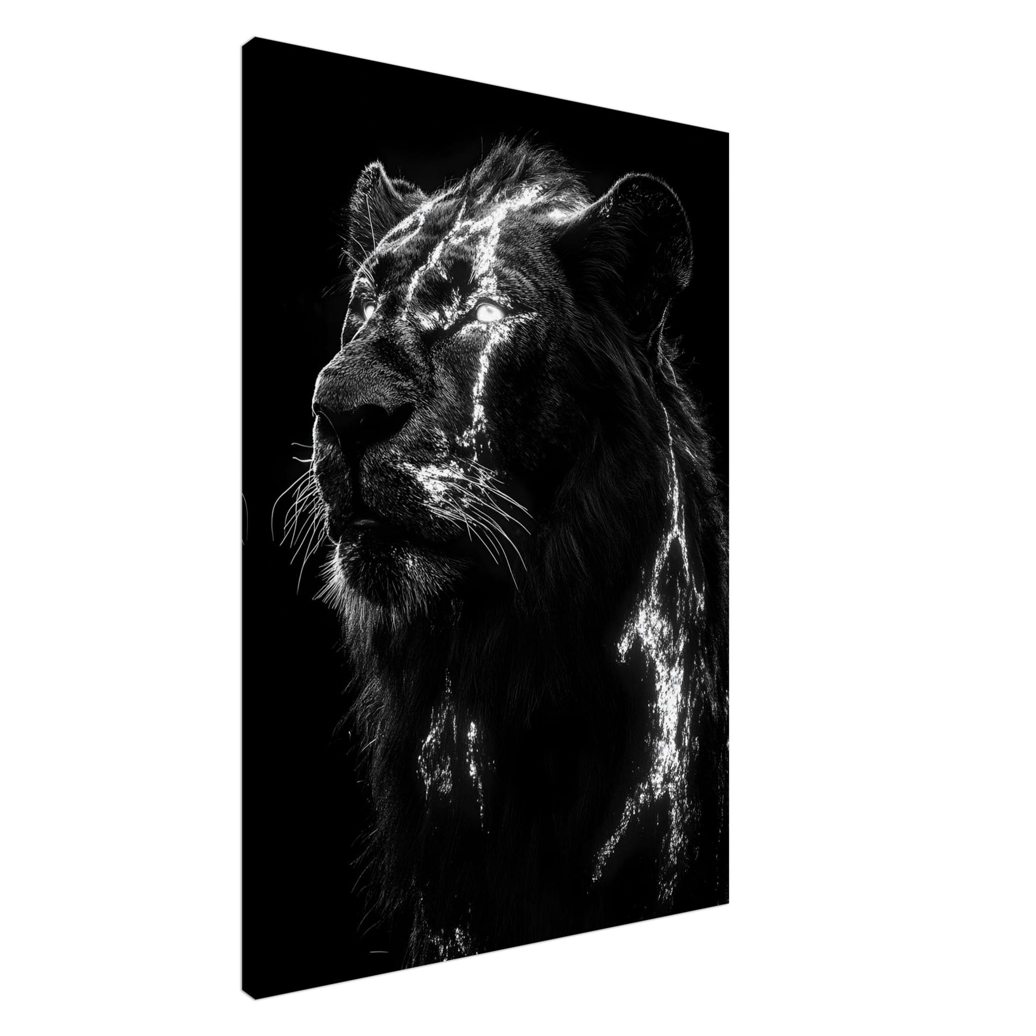 Artfulprints Canvas Lion portrait canvas - 75x100 cm - Zwart / Wit