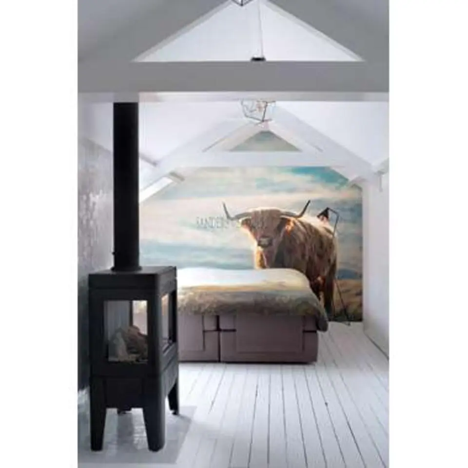 Sanders & Sanders fotobehang - schotse hooglander - meerkleurig