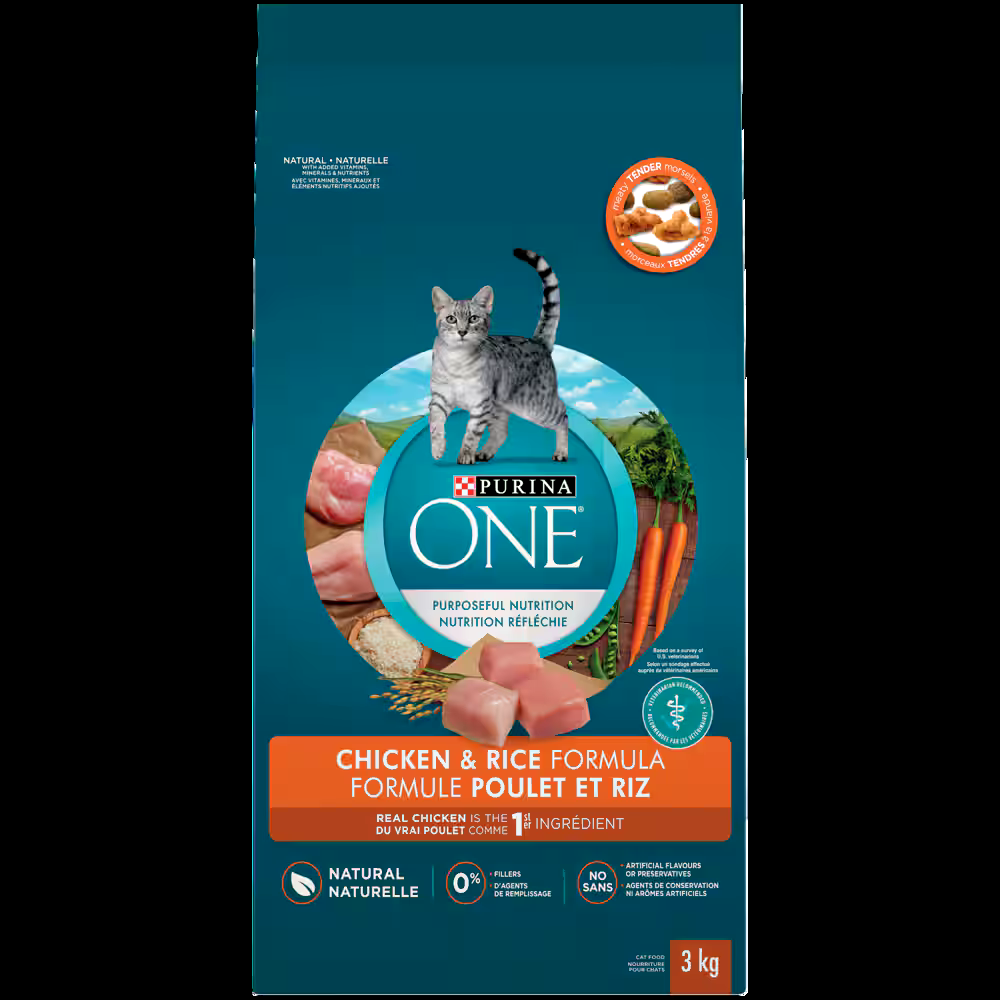 Purina ONE® Natural MaInlIne Chicken & Rice Dry Cat Food, 3-kg