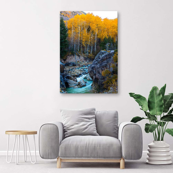Feeby Obraz Strumień górski skały las drzewa natura 40x60