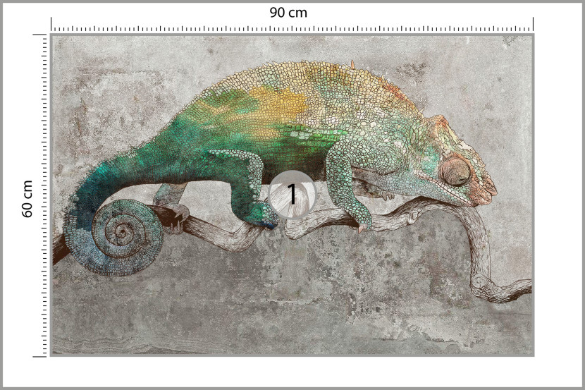 Fototapeta Kameleon Na Betonie Abstrakcja 90x60cm