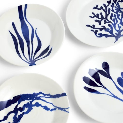 Royal Doulton Pacific 10th Anniversary 16cm Plate Set of 4 Plates - 4pc