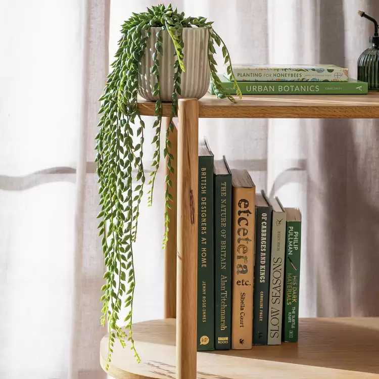 Habitat Artificial Green Succulent in Cream Ceramic Pot