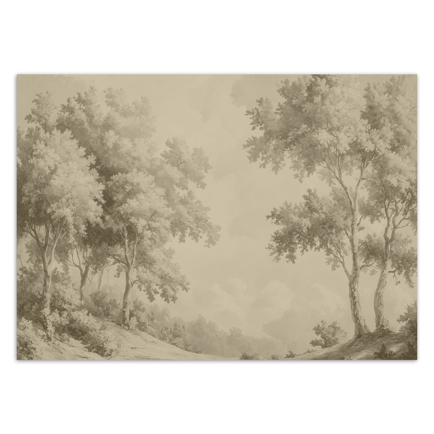 Feeby Fototapeta, Las drzewa natura 150x105