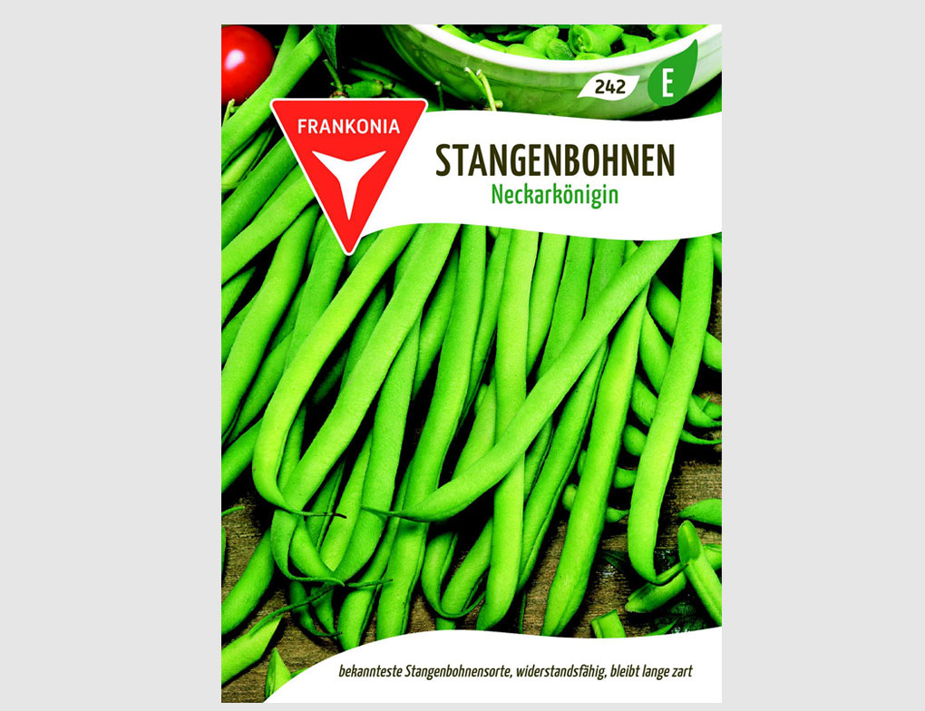 Stangenbohnen Neckarkönigin
