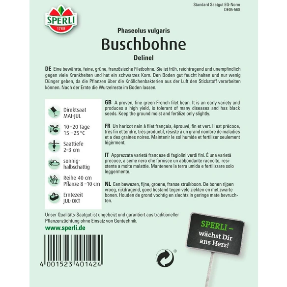 Buschbohne »Delinel«, zarte, fadenlose Filetbohne, schwarzes Korn