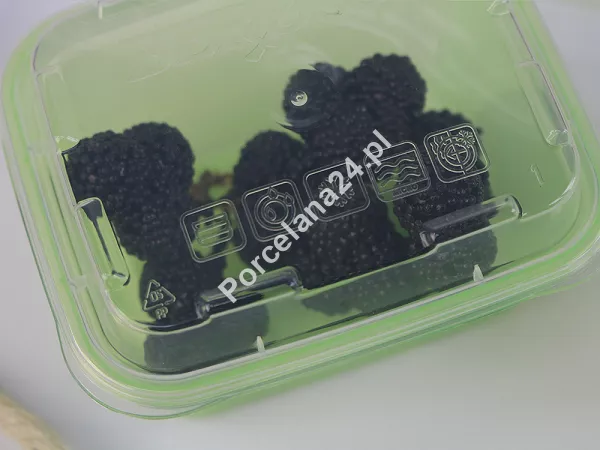 Kpl. Pojemników do zamrażania 11,8 х 9,8 х 6,6 cm Berossi - pistacjowy 1Y.POJ.ZIPM-P
