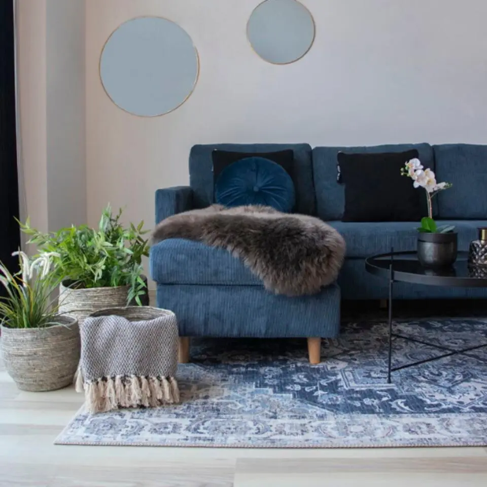 Vloerkleed 200x300cm - Blauw/Wit - Chenille Polyester - Kleed Havana