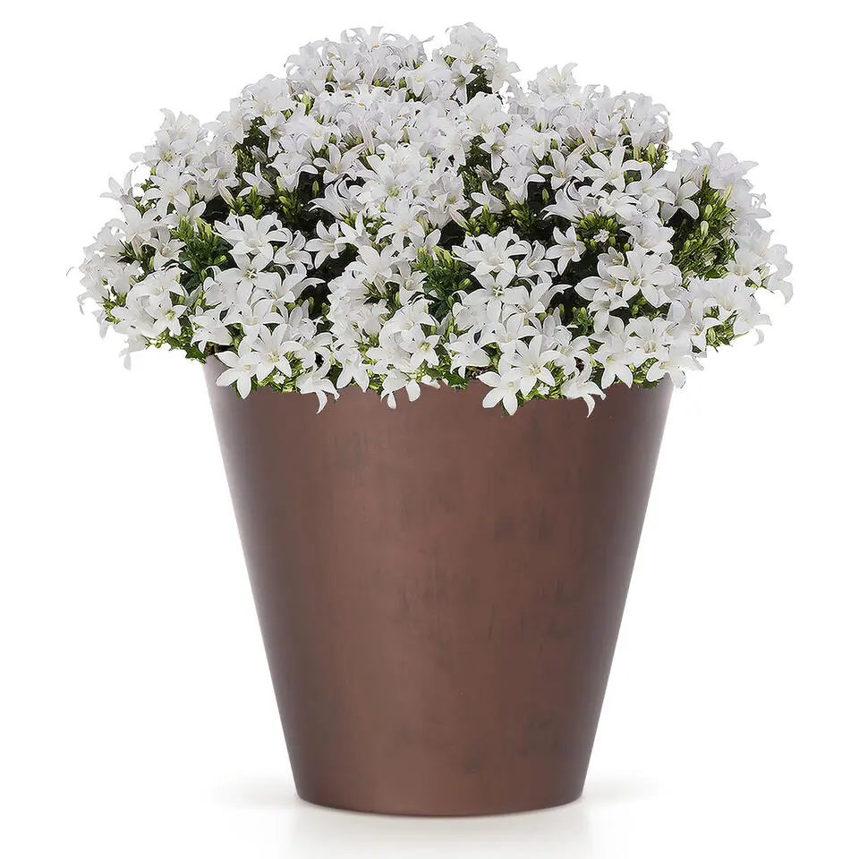 Prosperplast plantenpot - kunststof - brons - D40 x H37 cm