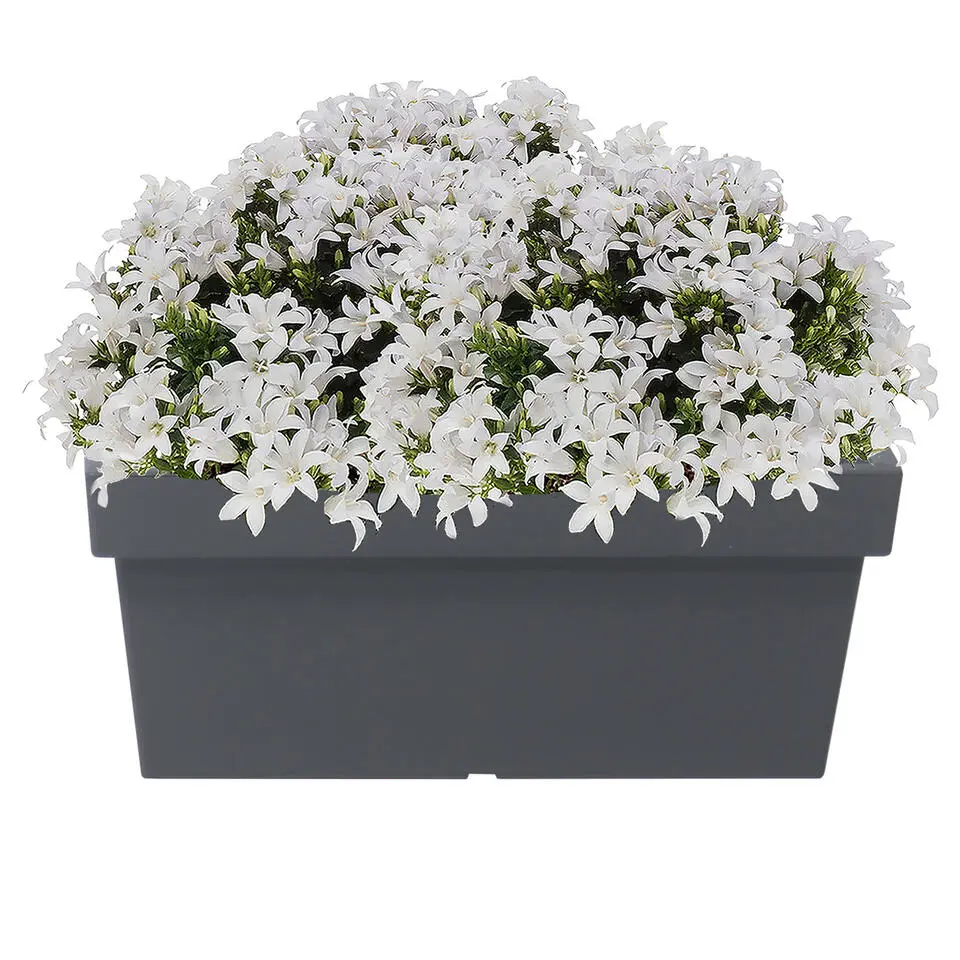 Prosperplast Plantenbak - kunststof - 79 x 35 x 33 cm - grijs