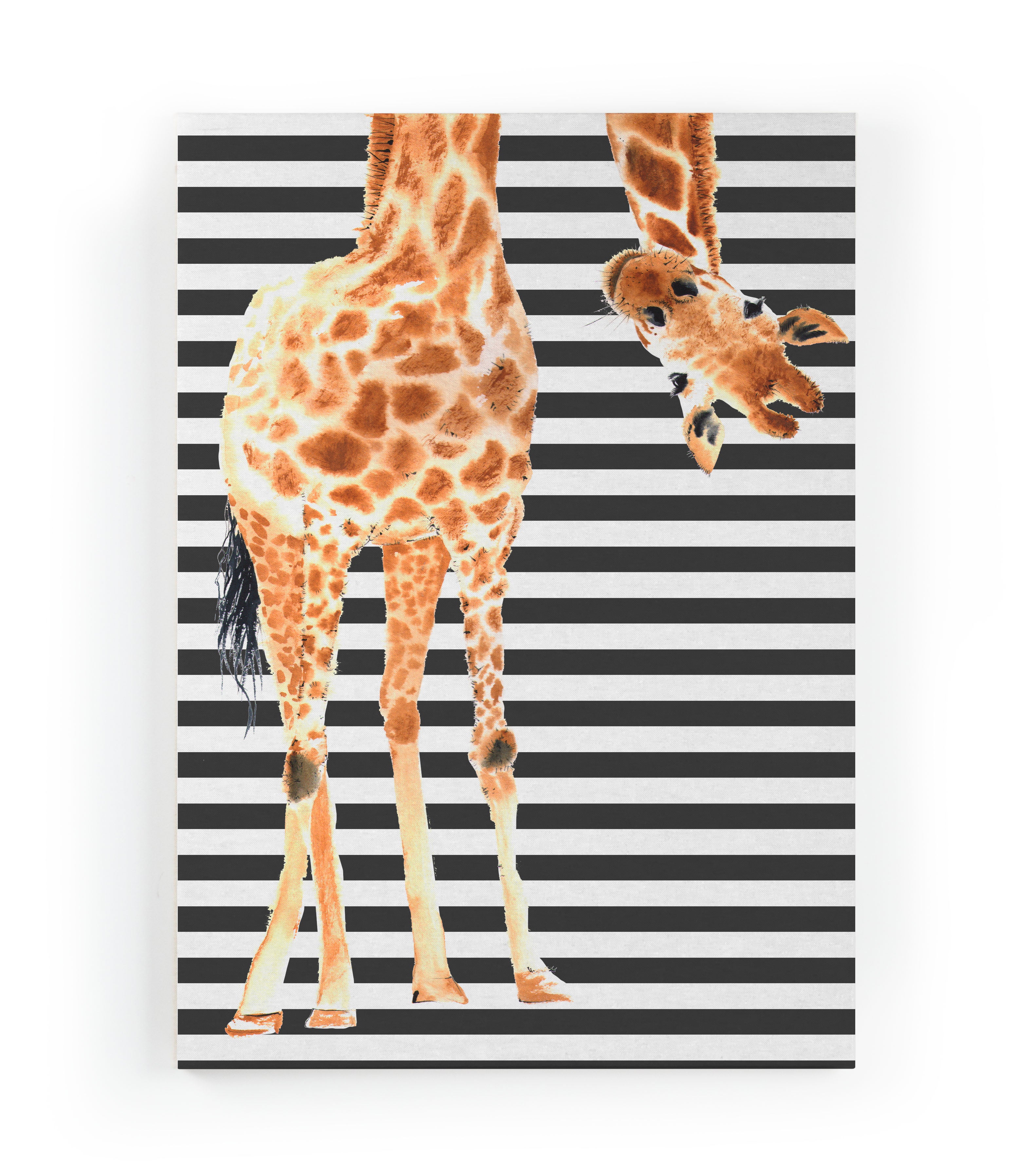 Canvas 60x40 Giraf afdruk
