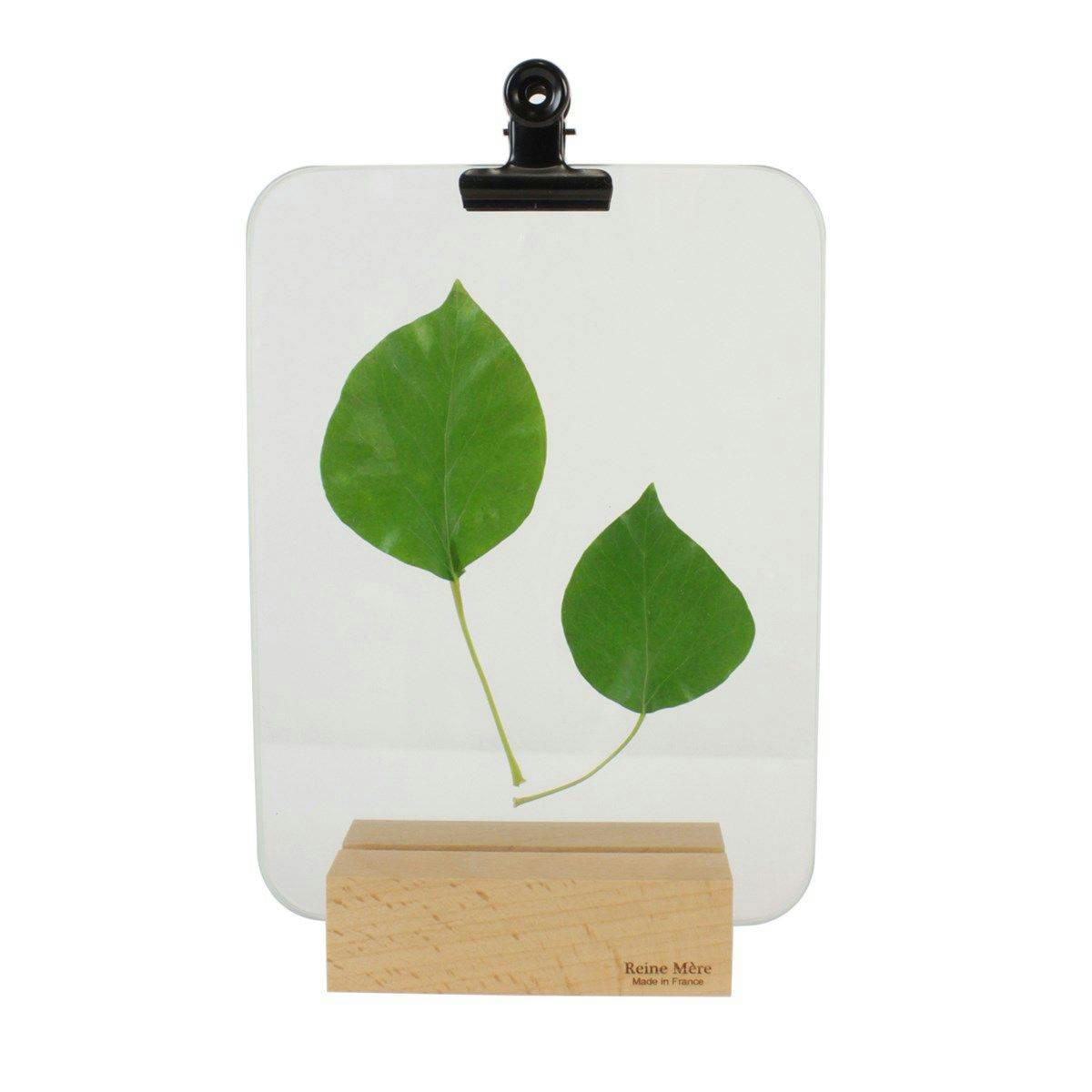 - Porte photo verrière pince noire 21x15cm