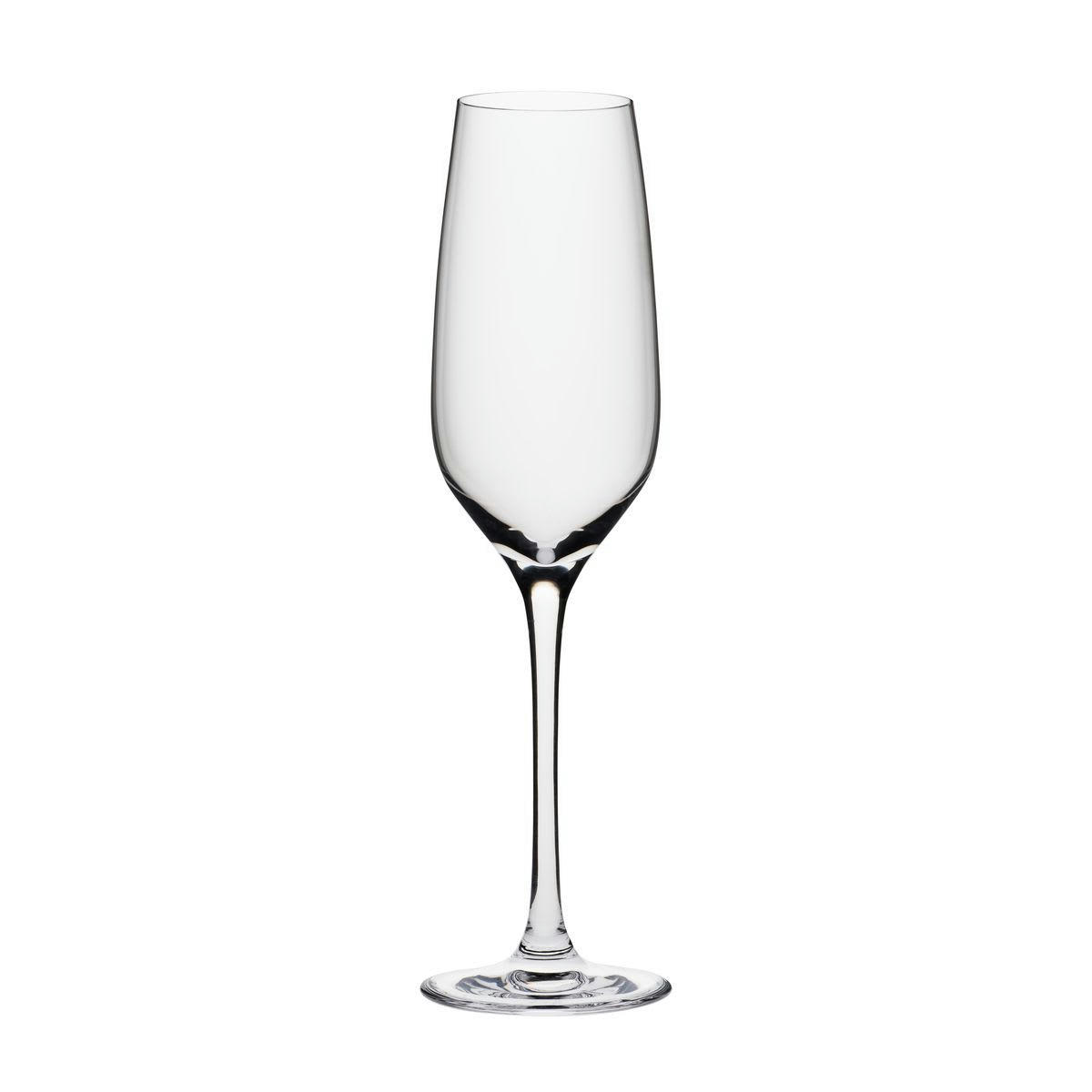 ZENITH - Lot de 6 flûtes 19cl