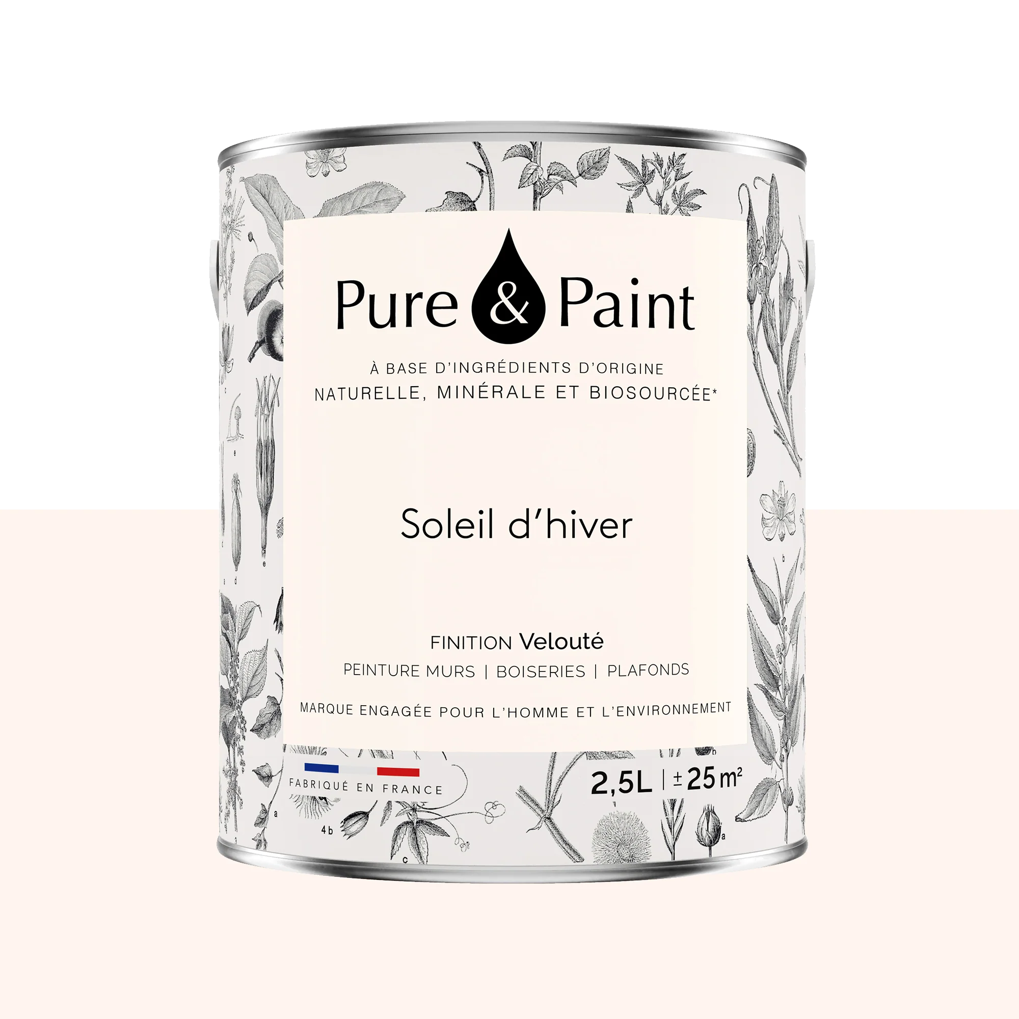 Pure and Paint Peinture Peinture SOLEIL D'HIVER