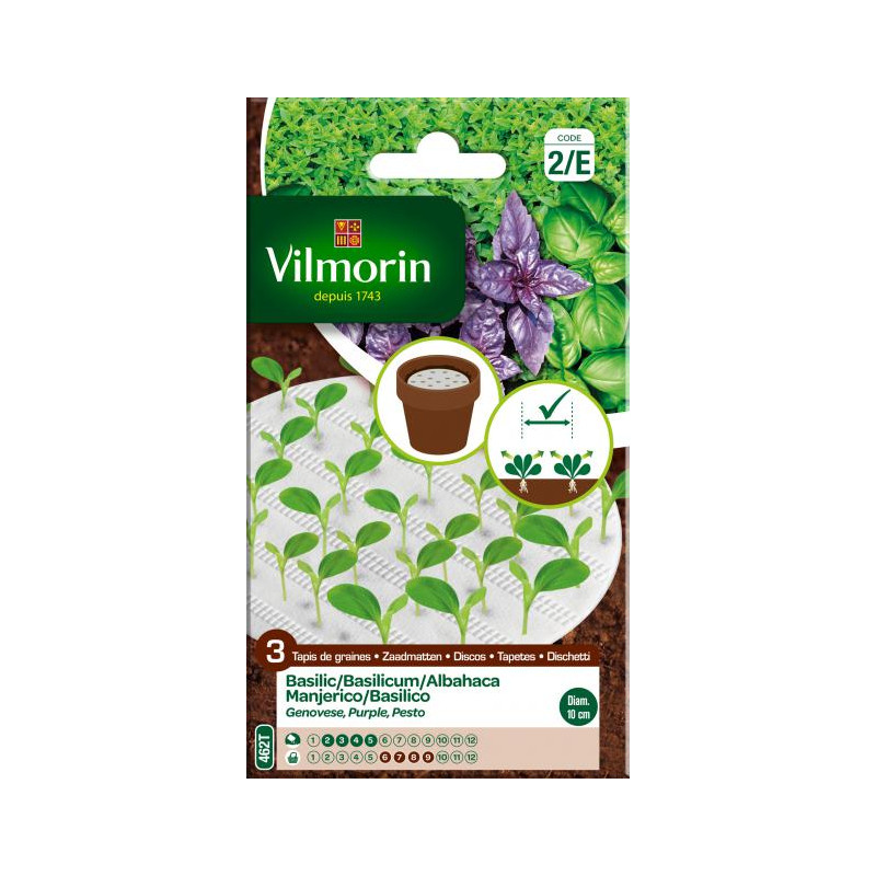 Semences de basilic 3 variétés VILMORIN