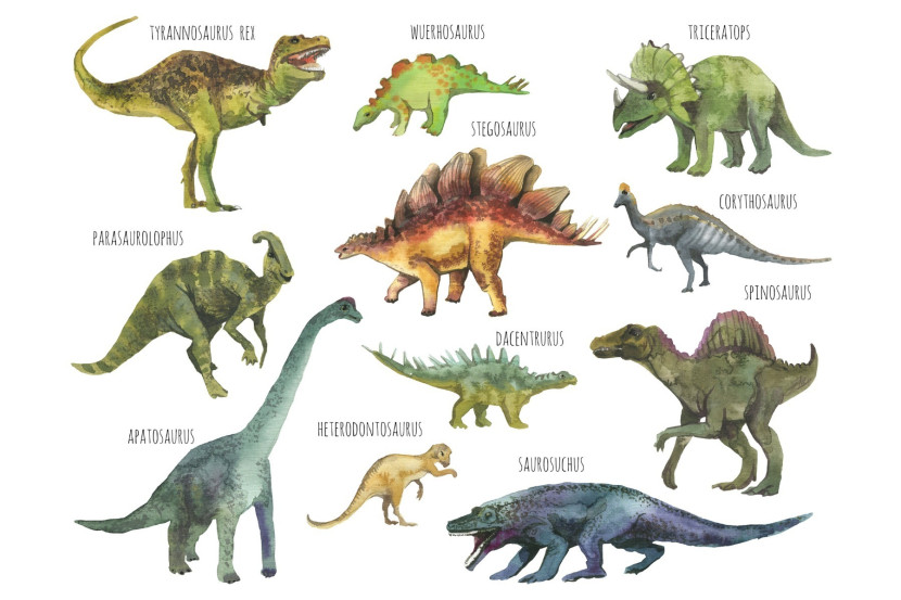 Fototapeta Akwarelowe DINOZAURY Gatunki 3D 90x60cm
