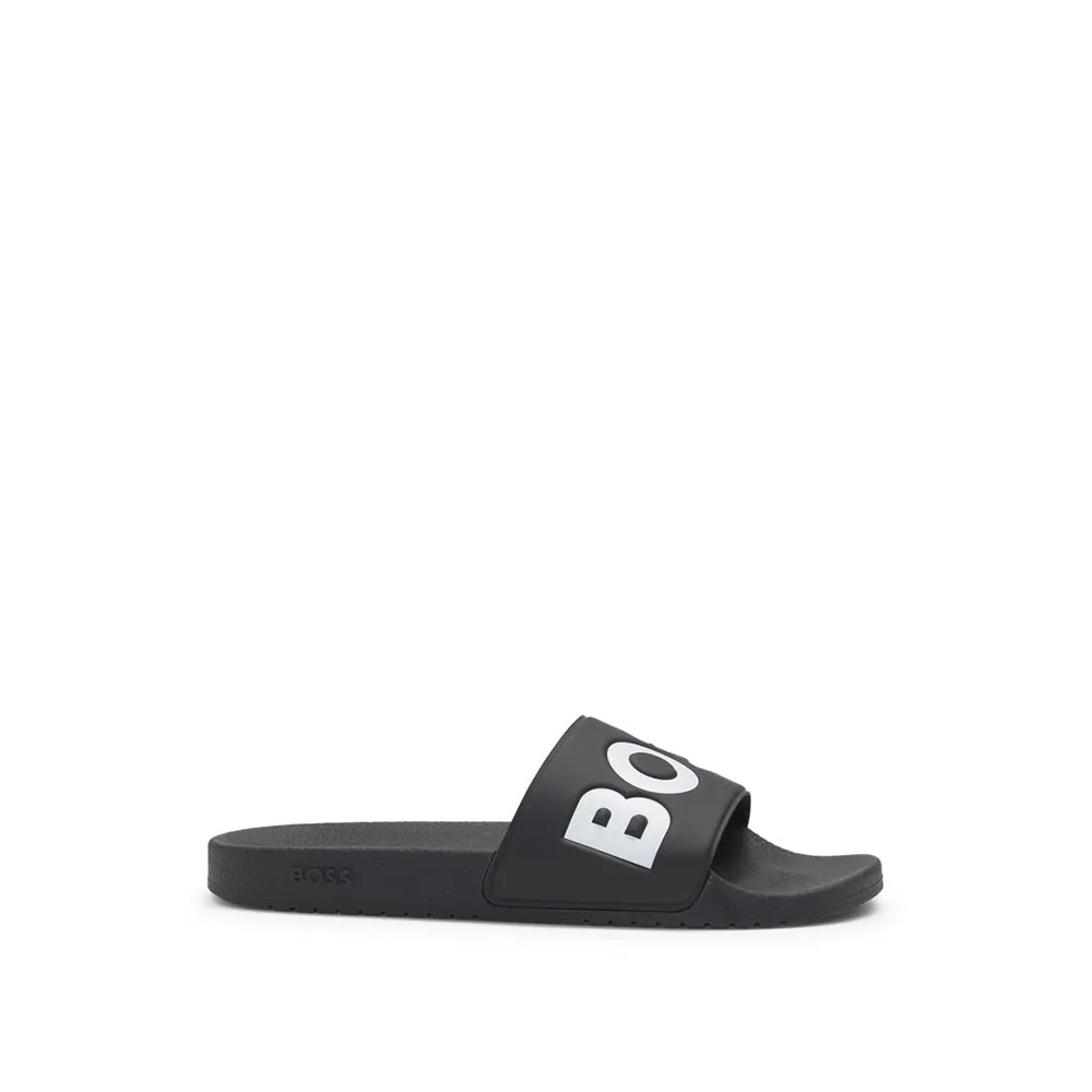 BOSS Aryeh 10251721 slides