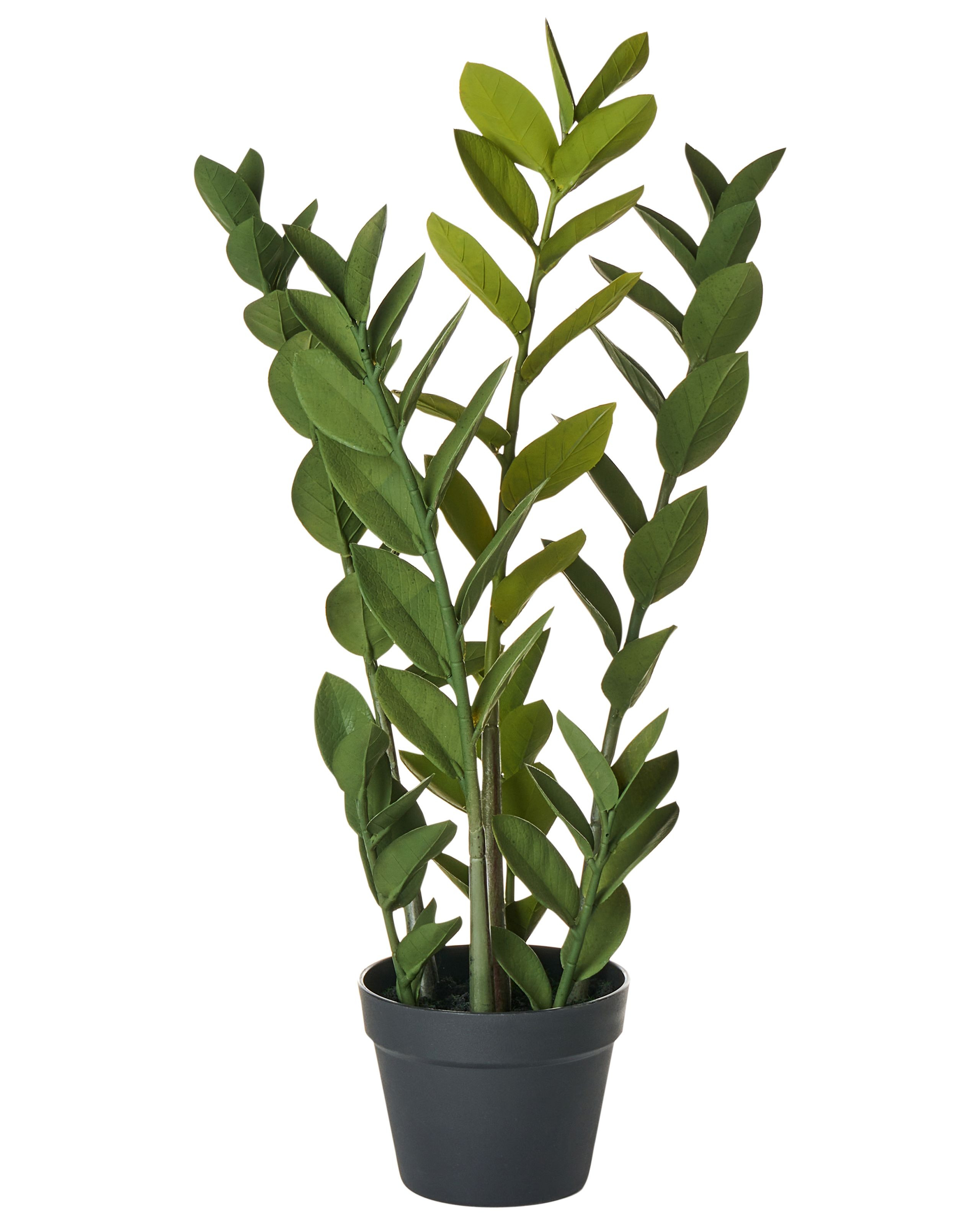 Sztuczna roślina ZAMIIFOLIA 76 cm Zielony