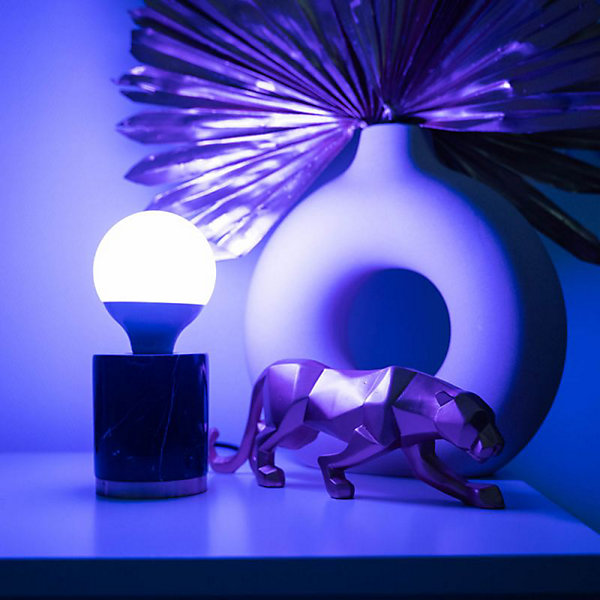 KOZii - Ampoule Connectée KOZii SMD E27 1521 lumens G95, éclairage blancs   couleurs - KE1500BRVBCCT