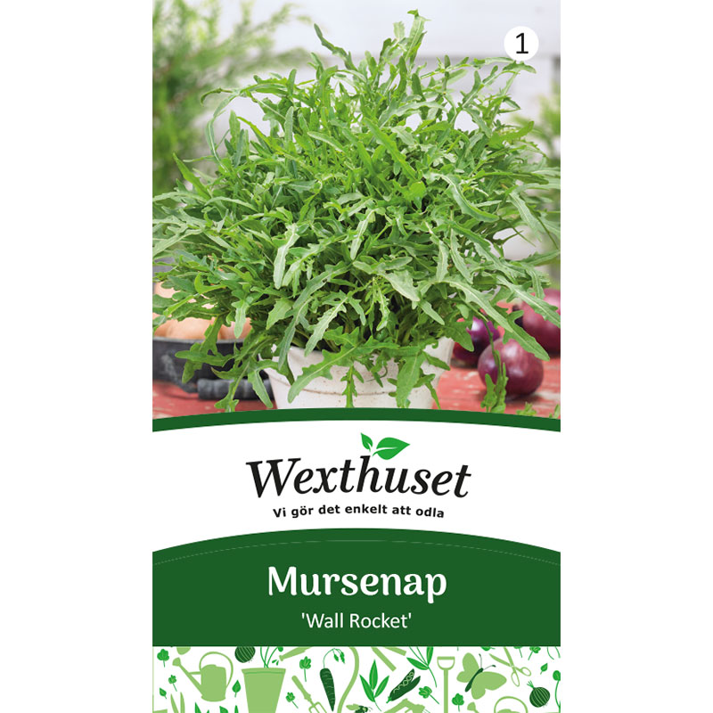 Mursenap 'Wall Rocket'