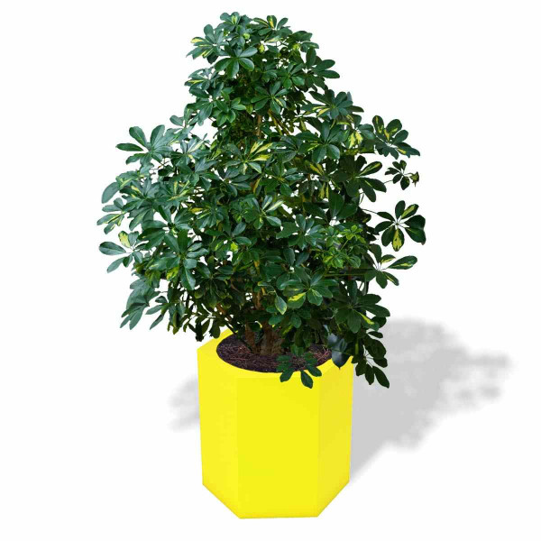 Doniczka Z Polietylenu CETO PL-CE60 PD Concept cytryna