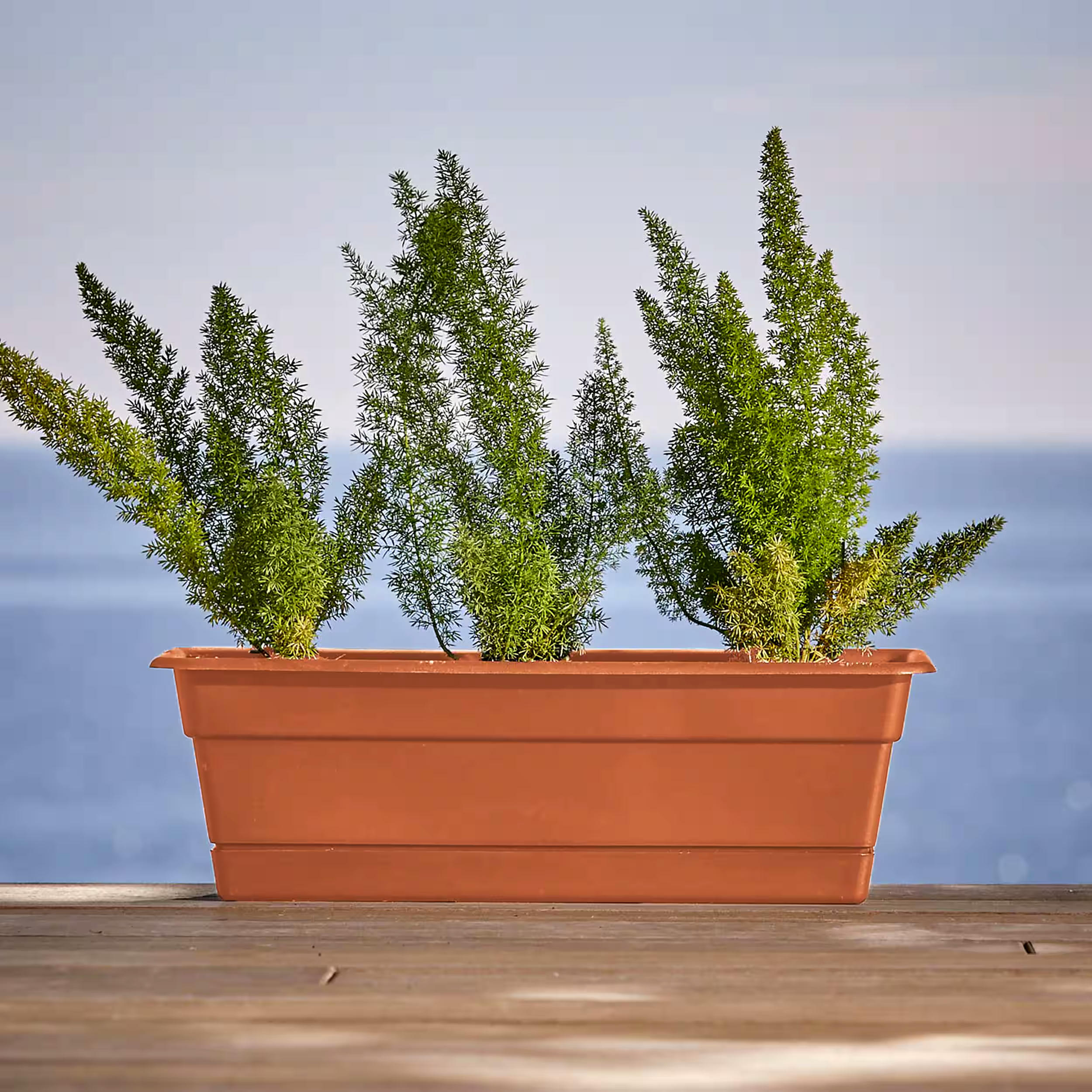 Bloem Dura Cotta Window Box Planter, Terra Cotta