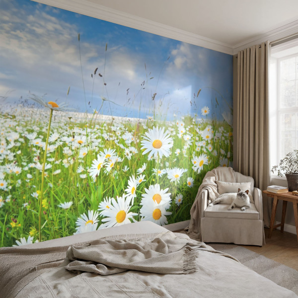 Tapeta Plażowa ścieżka do biura trwała łatwy montaż 104x70