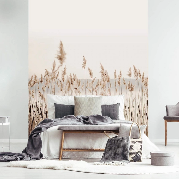 Vliestapete »Sebi«, KornBlumen, weiß/beige, matt