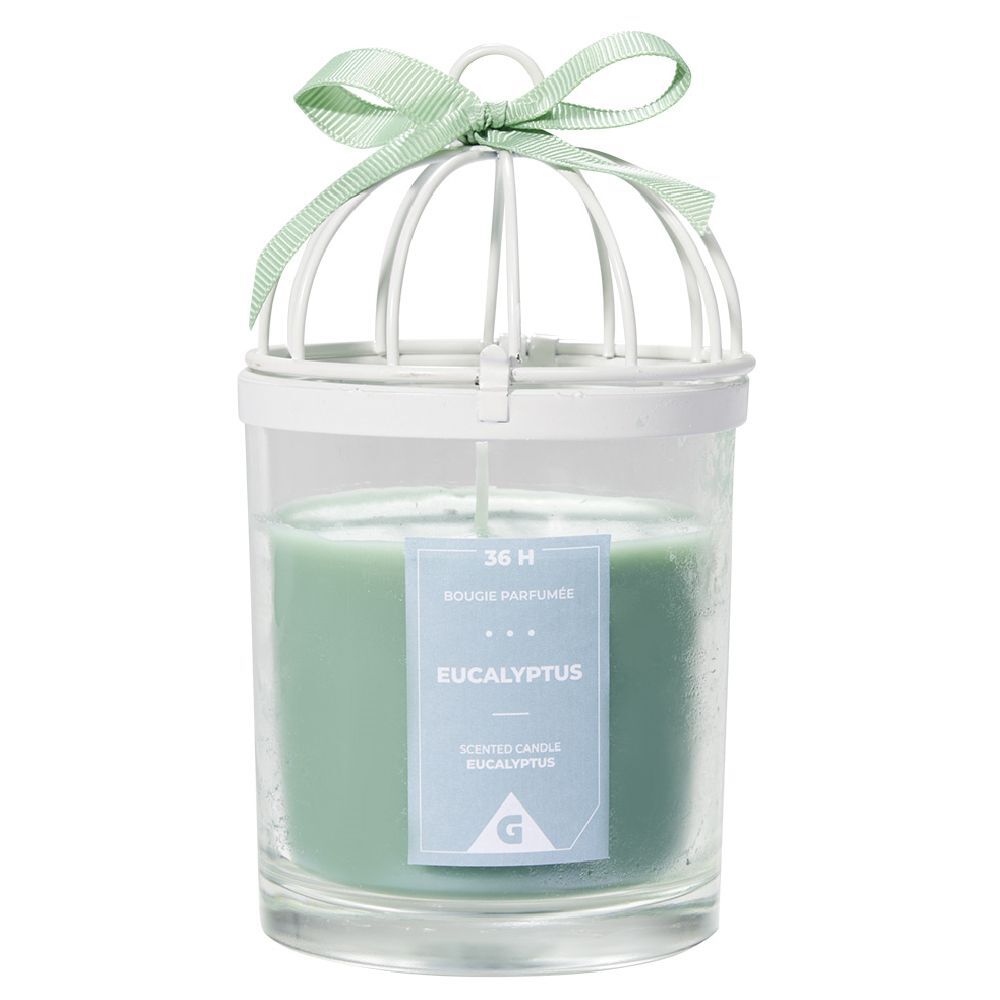 Bougie parfumée cage à oiseau senteur eucalyptus 36H