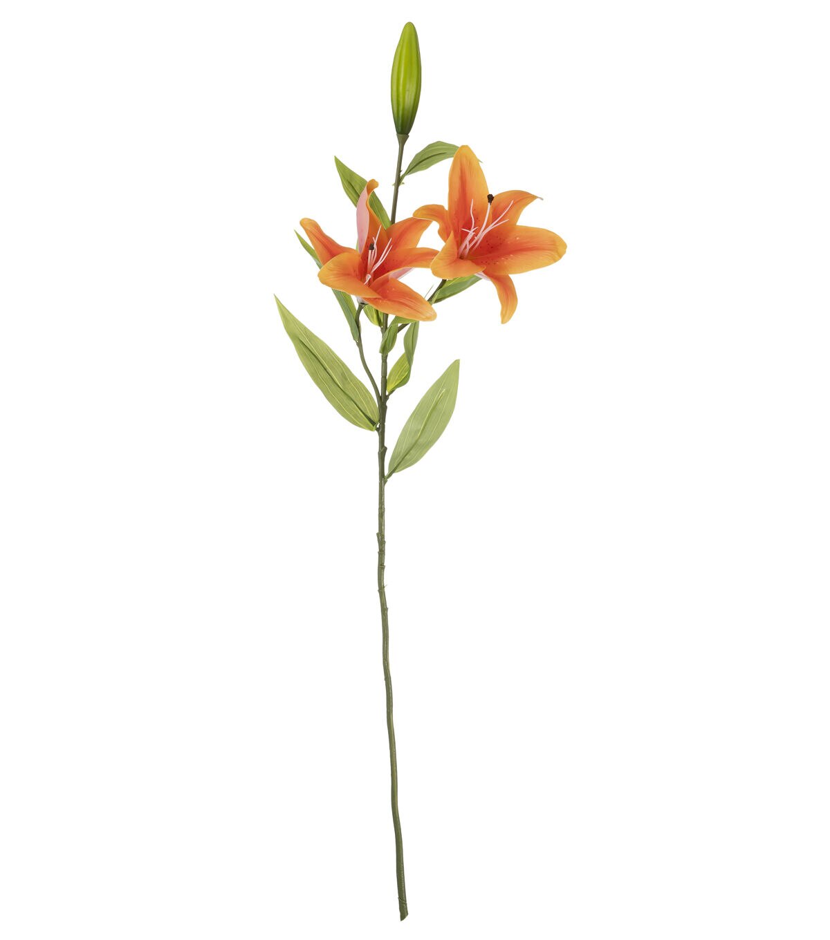 35 Orange Tiger Lily Stem by Bloom Room