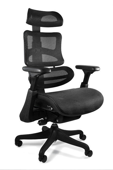 Ergonomiczny fotel biurowy ERGOTHRONE czarny siatka