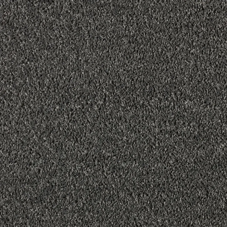 Kwantum Tapijt | Tapijt Marvell Donker Grijs
