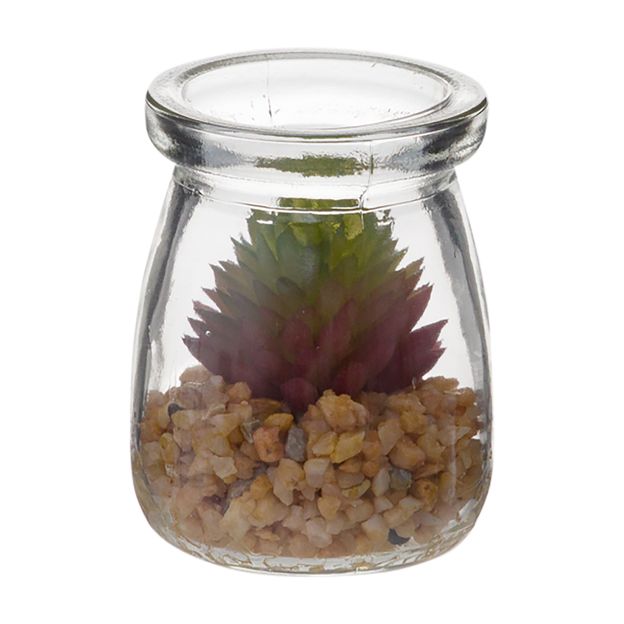 SUCULENTA AURORA MINI ARRANJO ARID