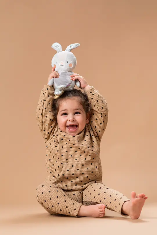 Spieluhr Taf Toys
