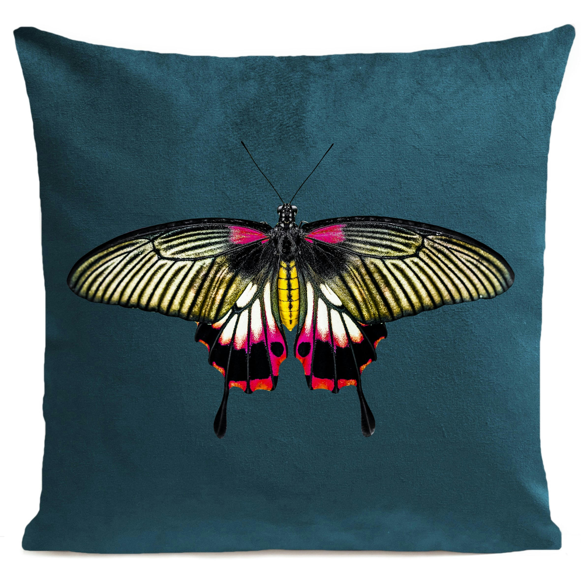 - Coussin papillon insecte suédine vert 40x40cm