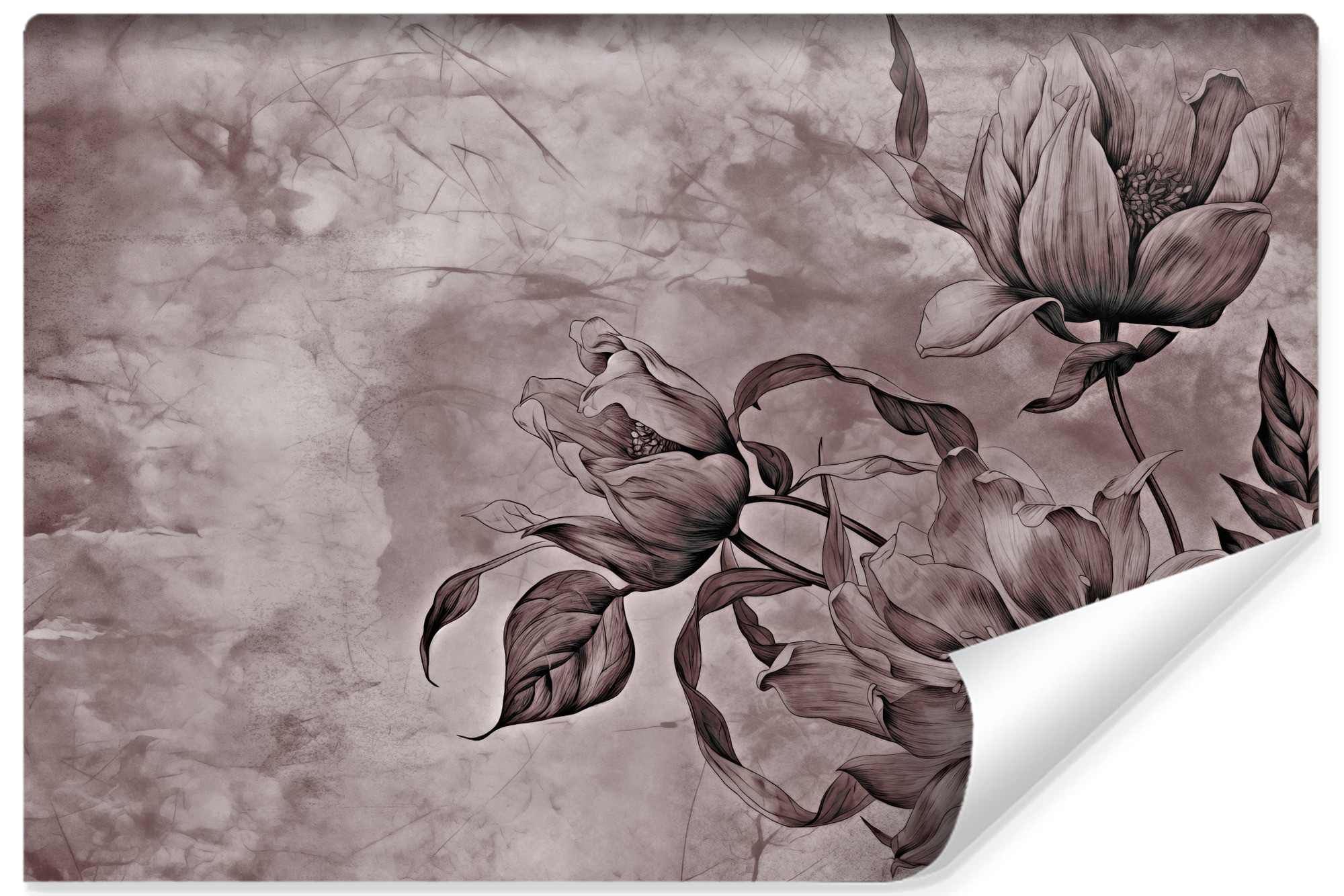 Fototapeta Kwiaty i liście na tle betonu 90x60cm
