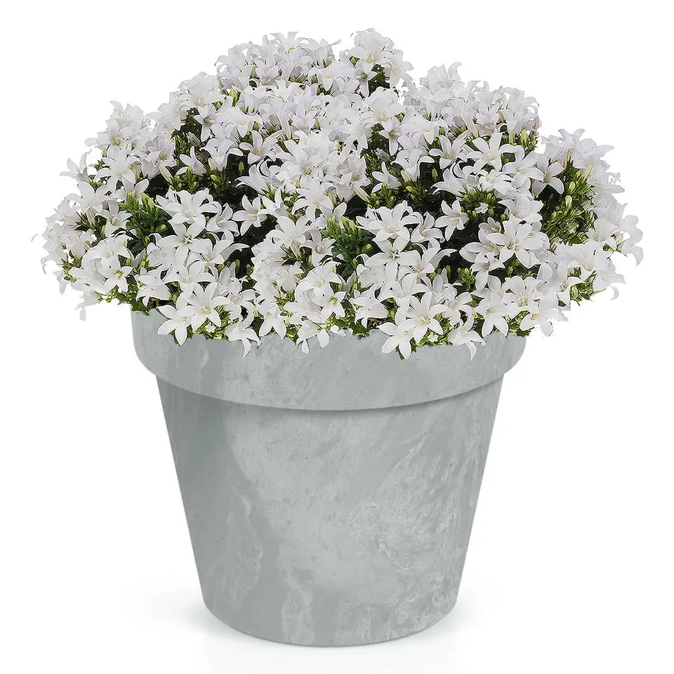 Prosperplast Bloempot - betonlook - lichtgrijs - kunststof - 20cm