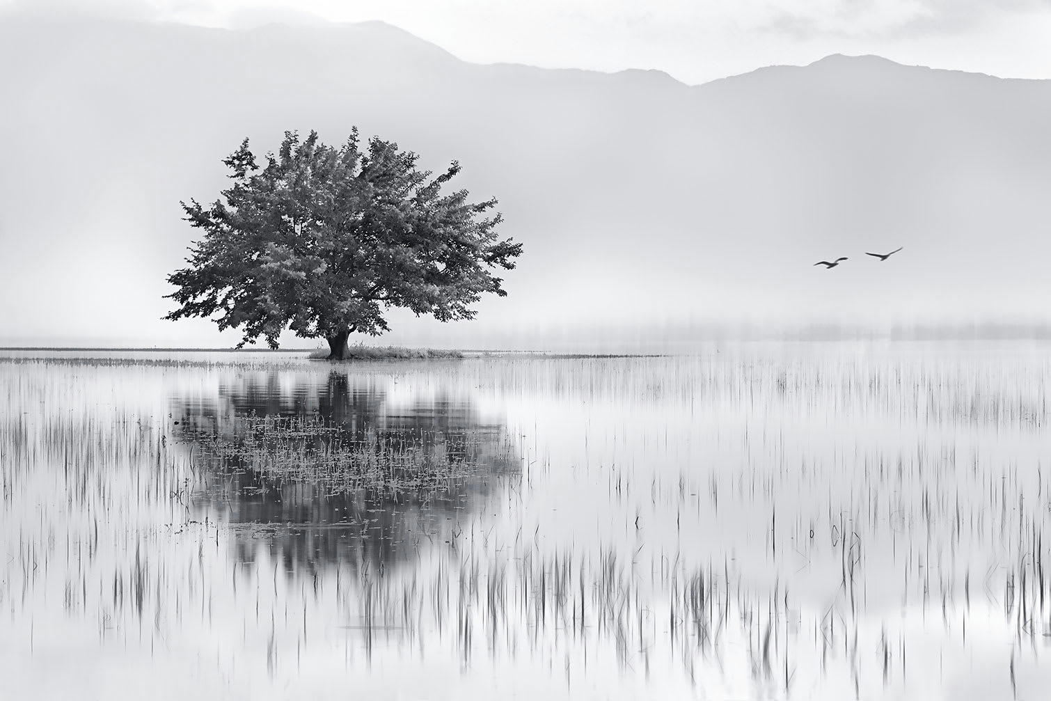 - Tableau nature reflets d'eau Tableau plexiglas 60x90cm