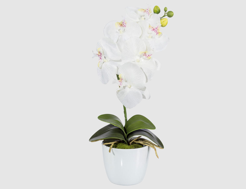 Kunstblume Orchidee