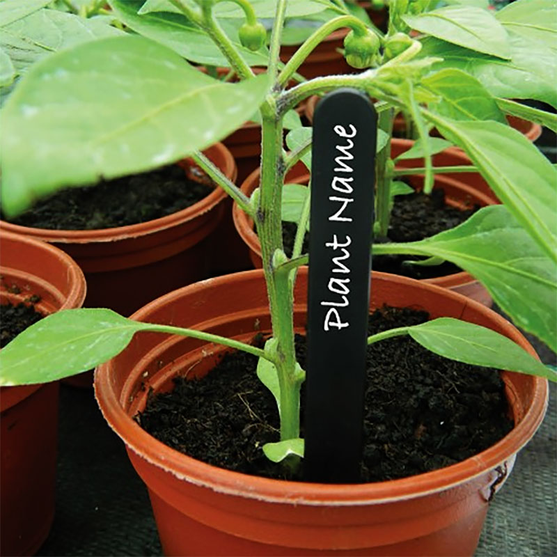 Plantetikett svart 20 cm, 20-pack