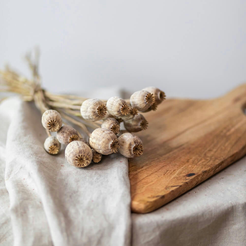 - Botte Pavots séchés