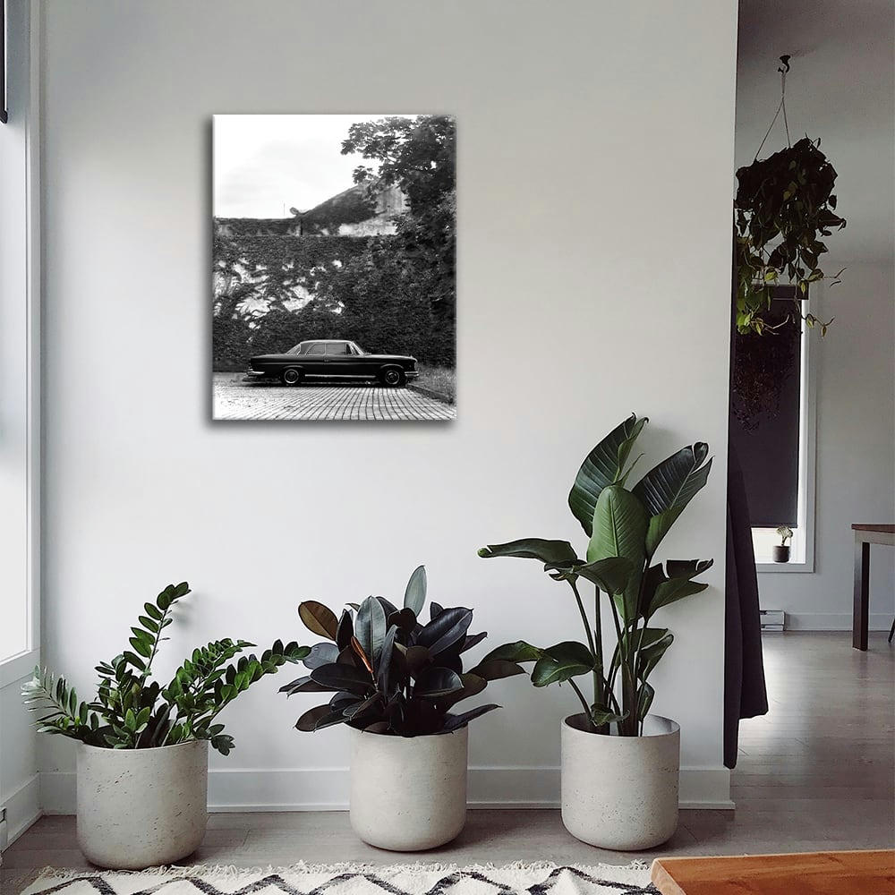 - Tableau impression sur toile stationnement sous le lierre 60x80cm