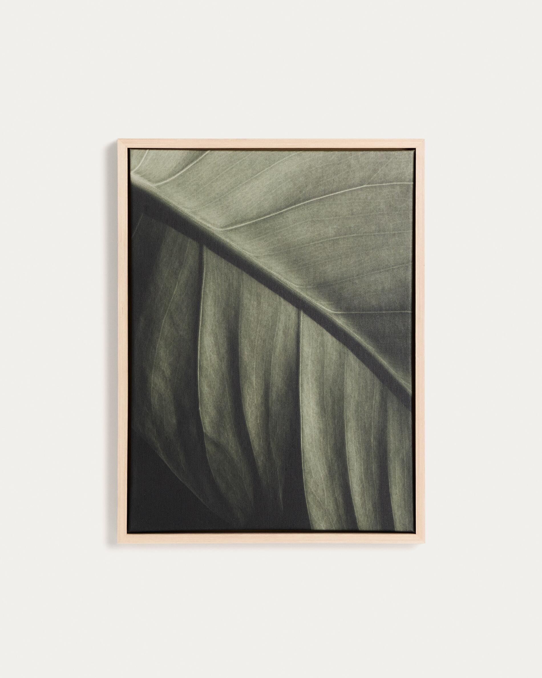 Foliae leaf photograph picture 32.5 x 42.5cm