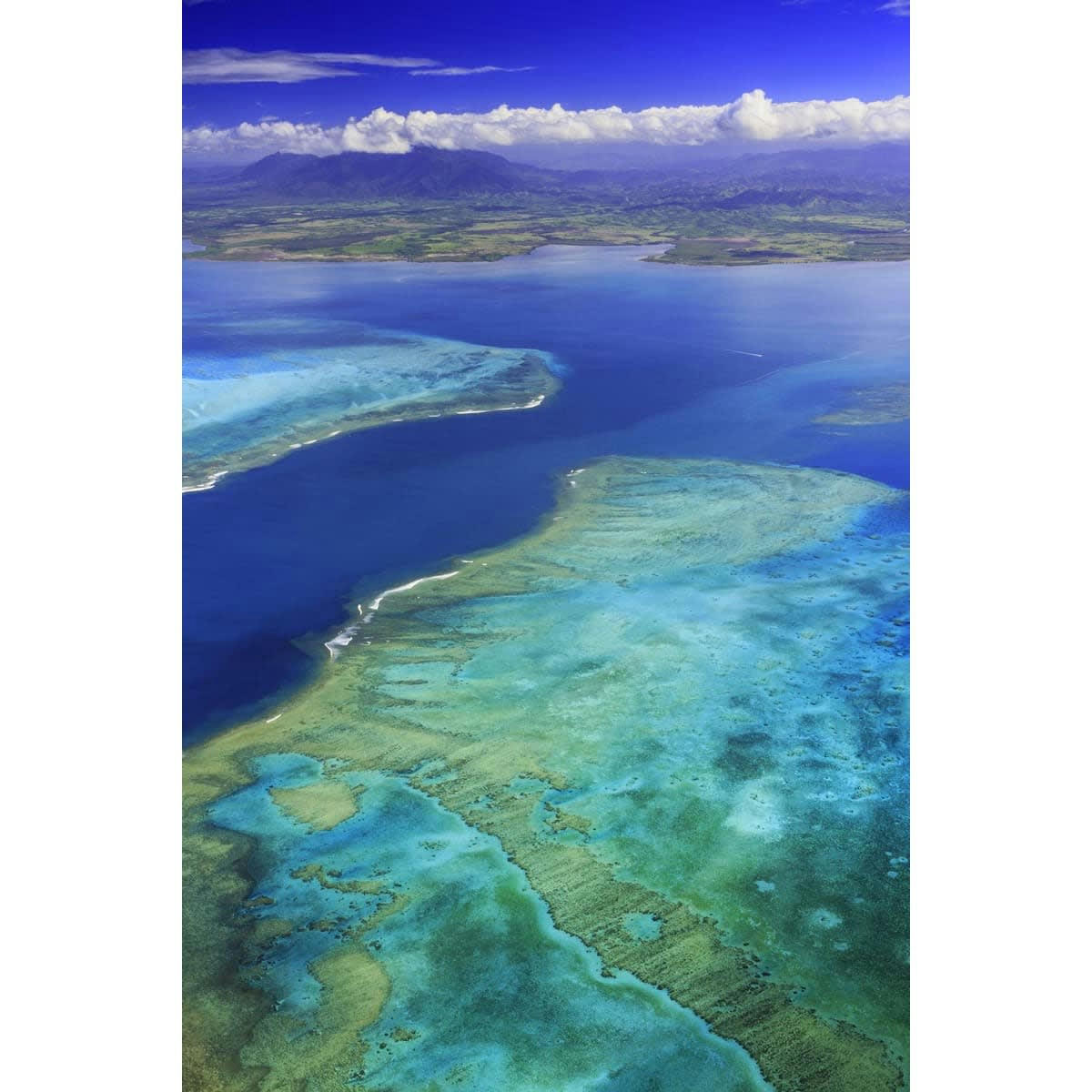 MER - Tableau sur verre synthétique corail 80x120 cm