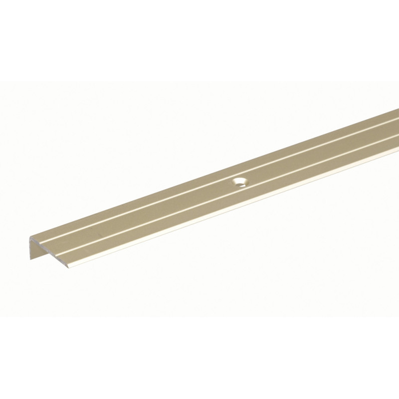 Nez de marche perçé en aluminium anodisé sable 24,5 x 20 mm 1 m ALBERTS