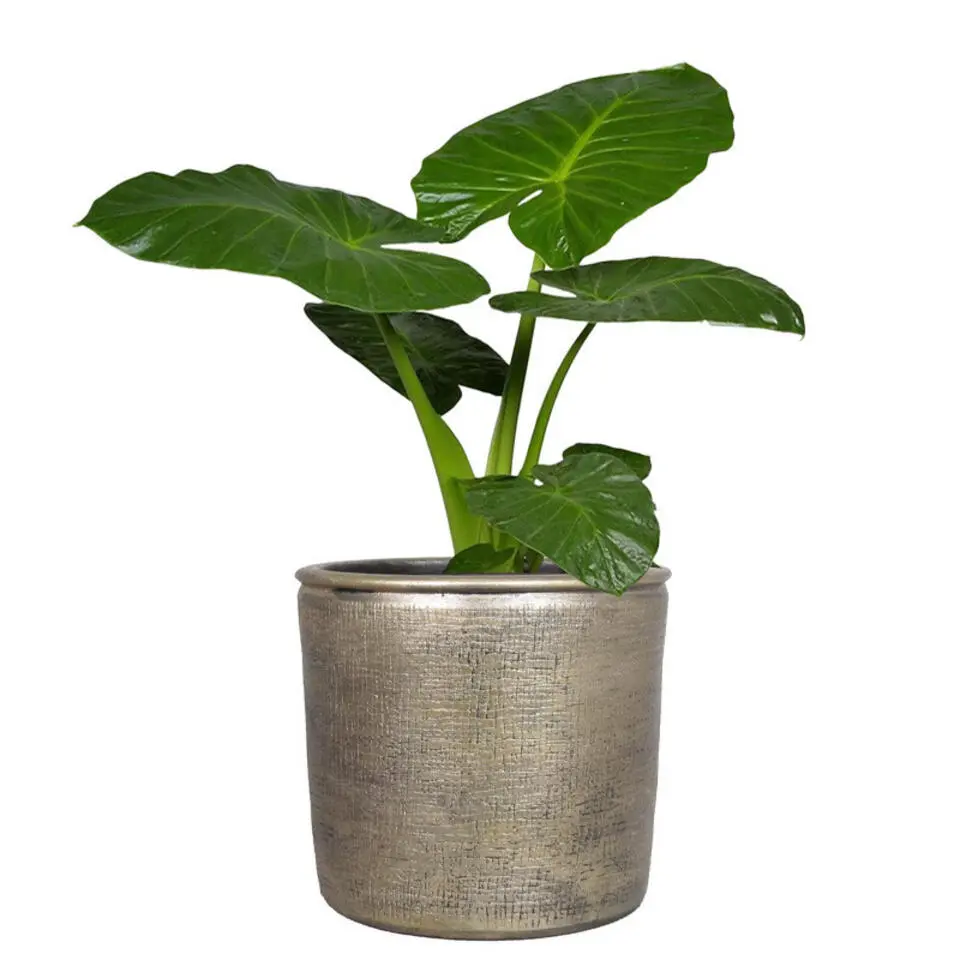 Floran Bloempot - industrieel - goud - keramiek met coating - 16 cm