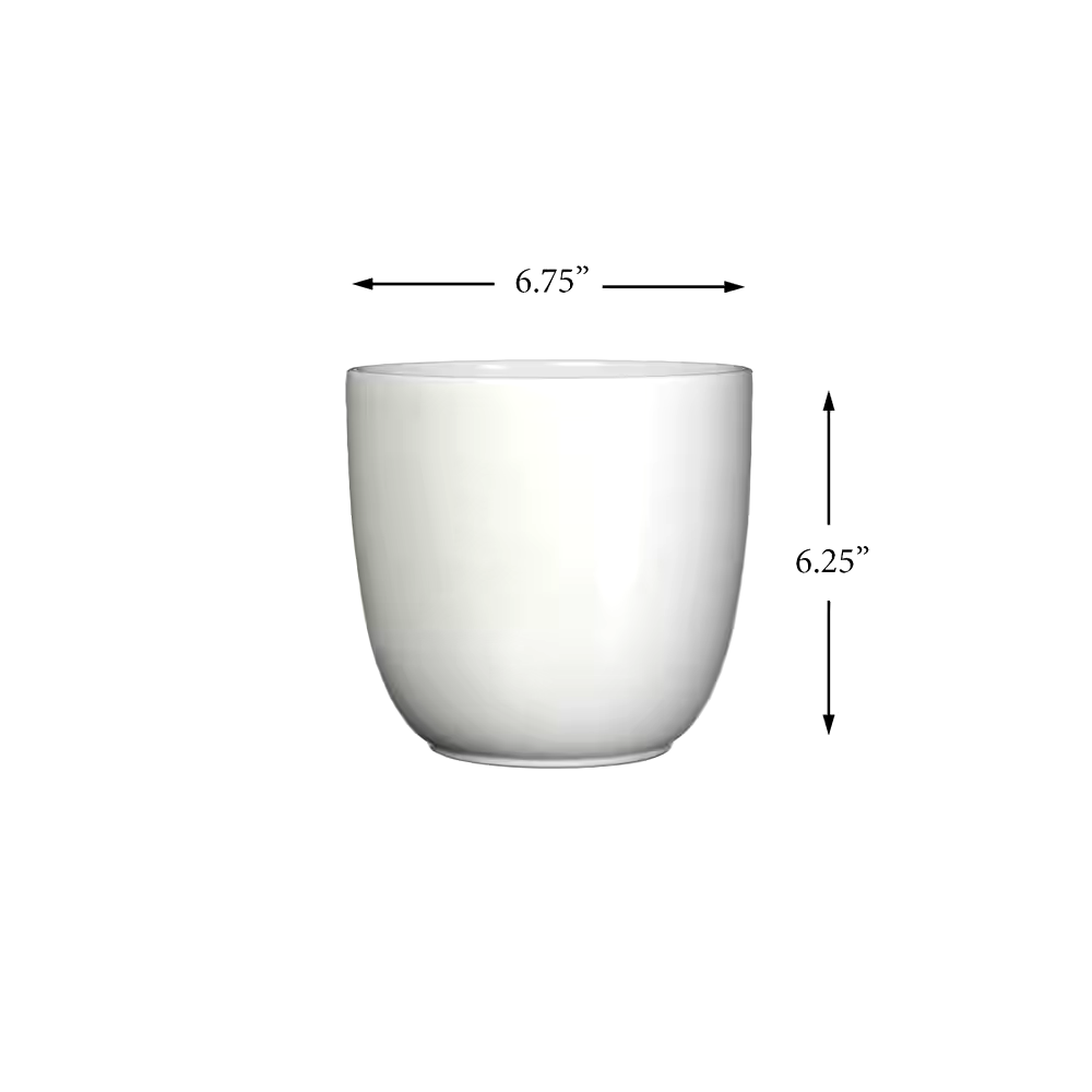 CANVAS Tusca Indoor Ceramic Round Planter, 17-cm, Assorted Colours