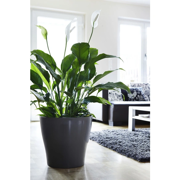 Übertopf »BRIGHT«, Breite: 18,5 cm, grau, Kunststoff