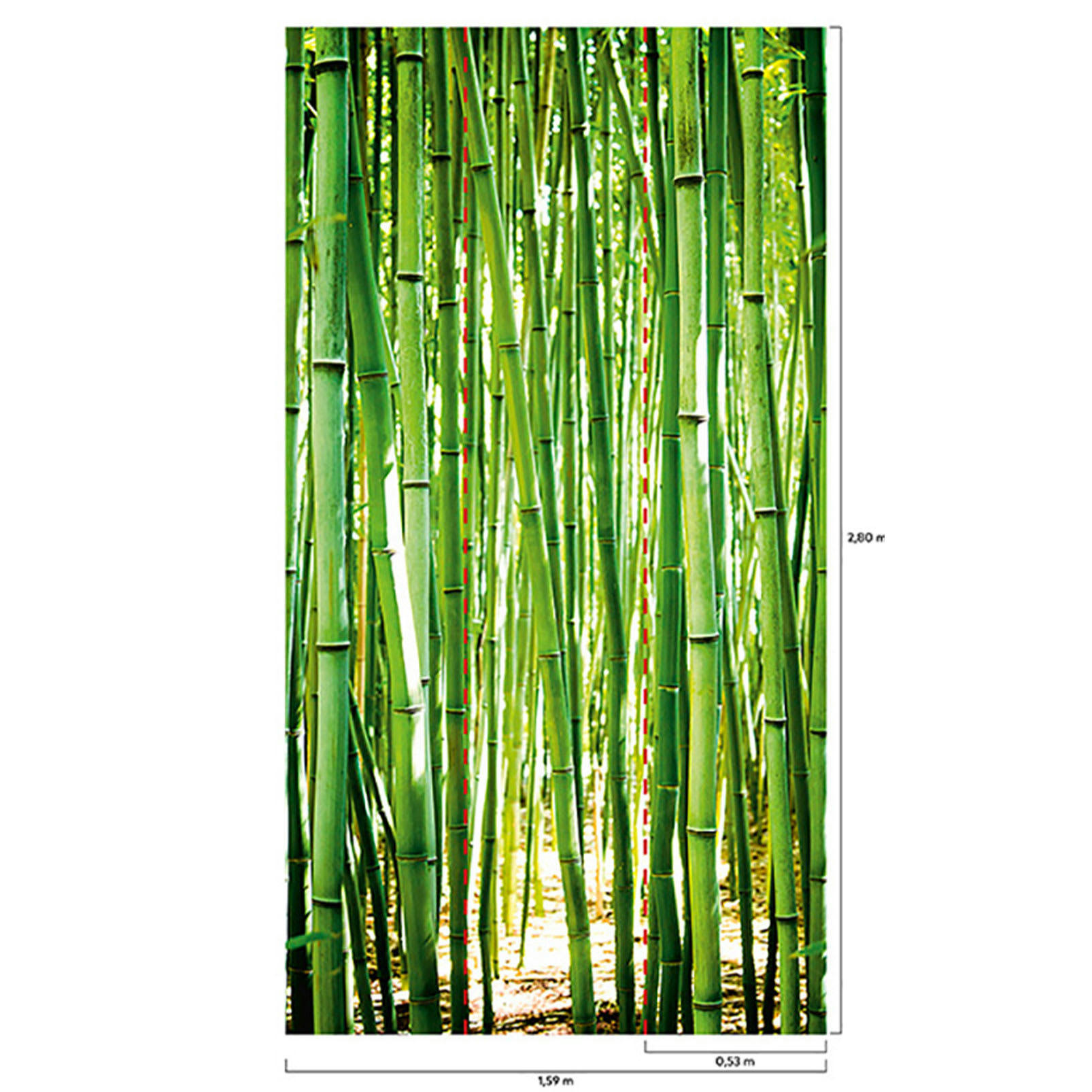 - Papier peint intissé les bambous 159x280cm