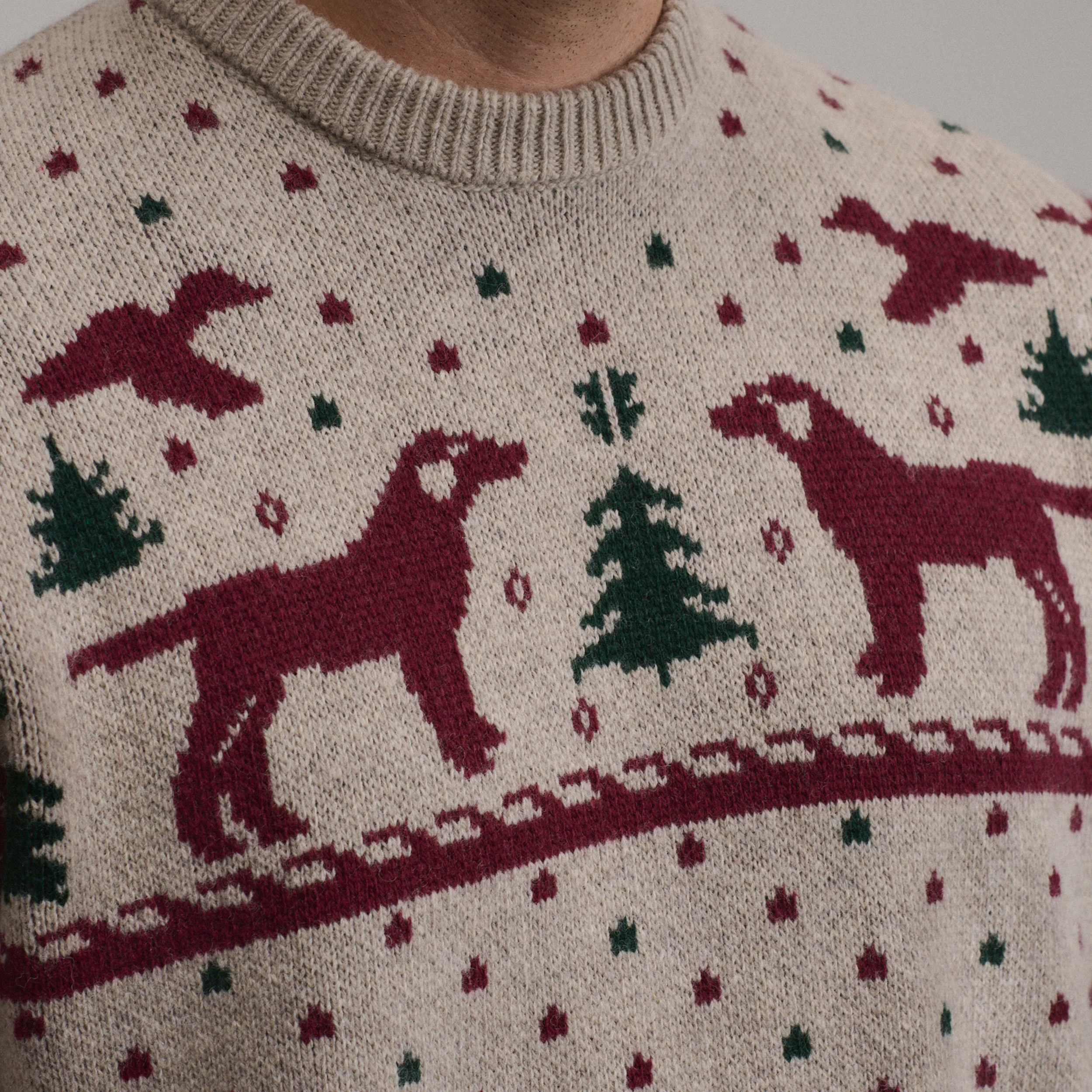 Men's Holiday Festive Crew Dog Sweater